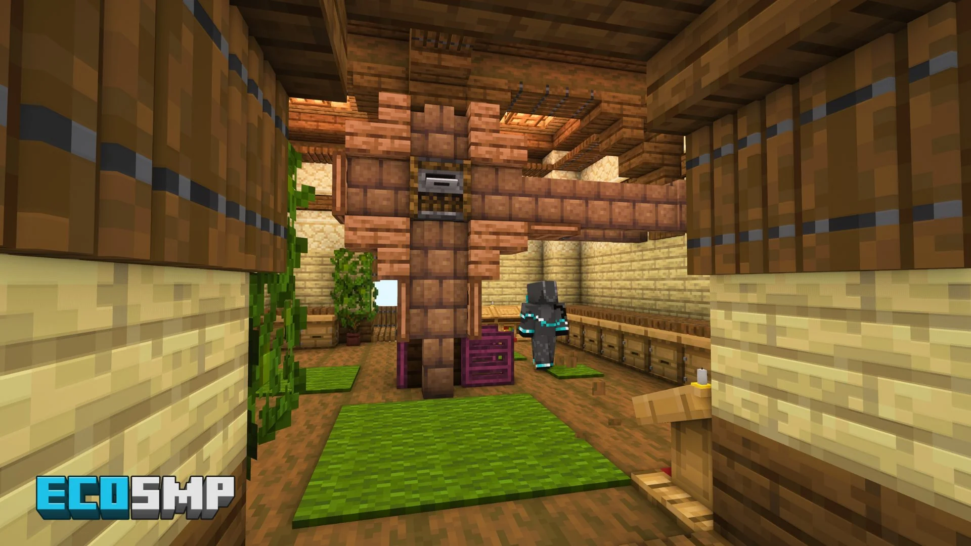 Thumbnail 13