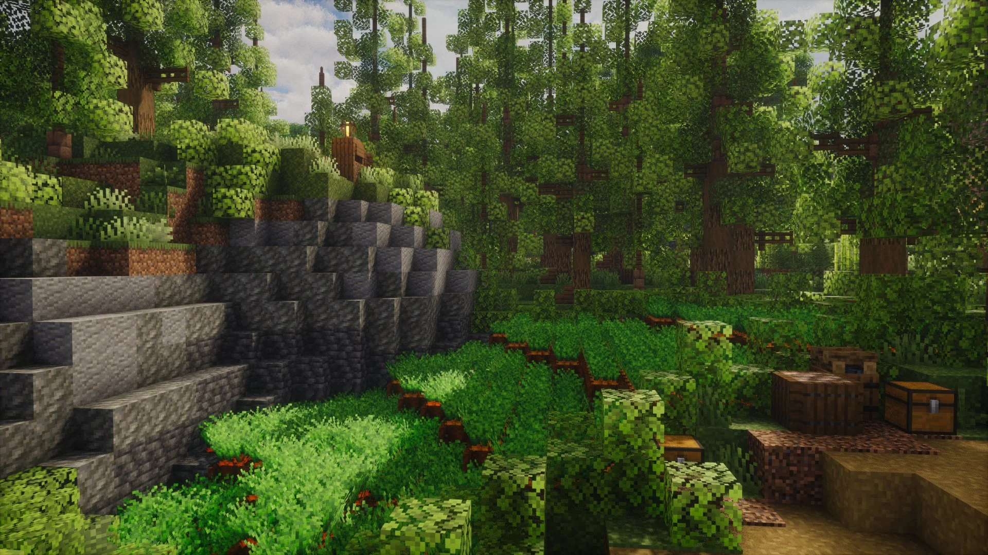 Thumbnail 12