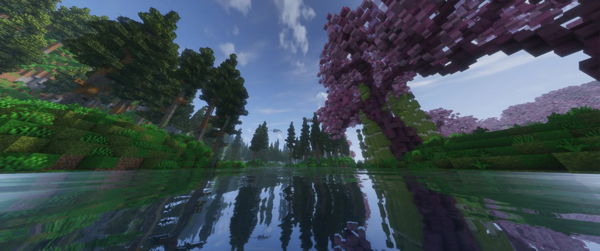 Thumbnail 14