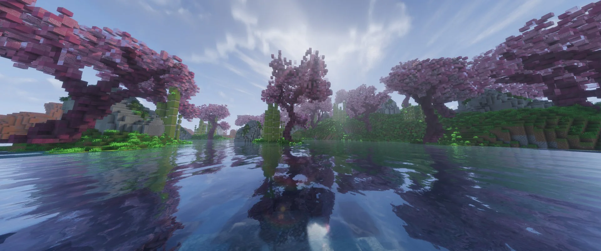 Thumbnail 16